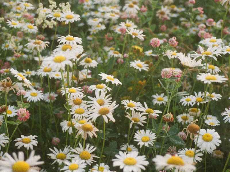 Epiphanies Anthology – Short Story&nbsp;Collection